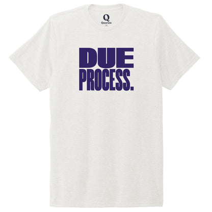 "Due Process." Quorum Unisex Tri-Blend Tee front print in Fairly White