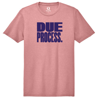 "Due Process." Quorum Unisex Tri-Blend Tee front print in Vintage Rose
