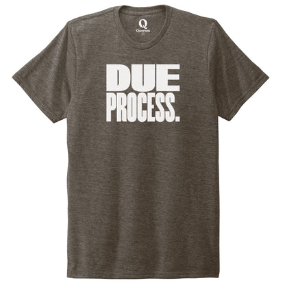 "Due Process." Quorum Unisex Tri-Blend Tee editorial print in Earthy Brown
