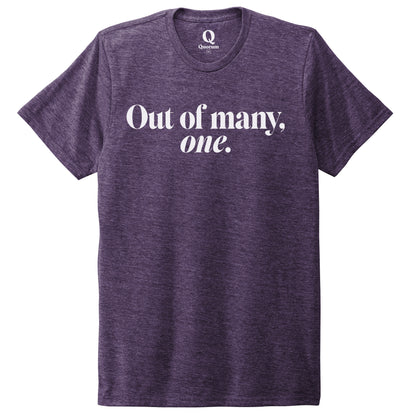 "Out of many, one." Quorum Unisex Tri-Blend Tee editorial print in Huckleberry