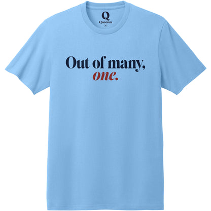 "Out of many, one." Quorum Heavyweight Recycled Cotton Tee front print in Arctic Blue