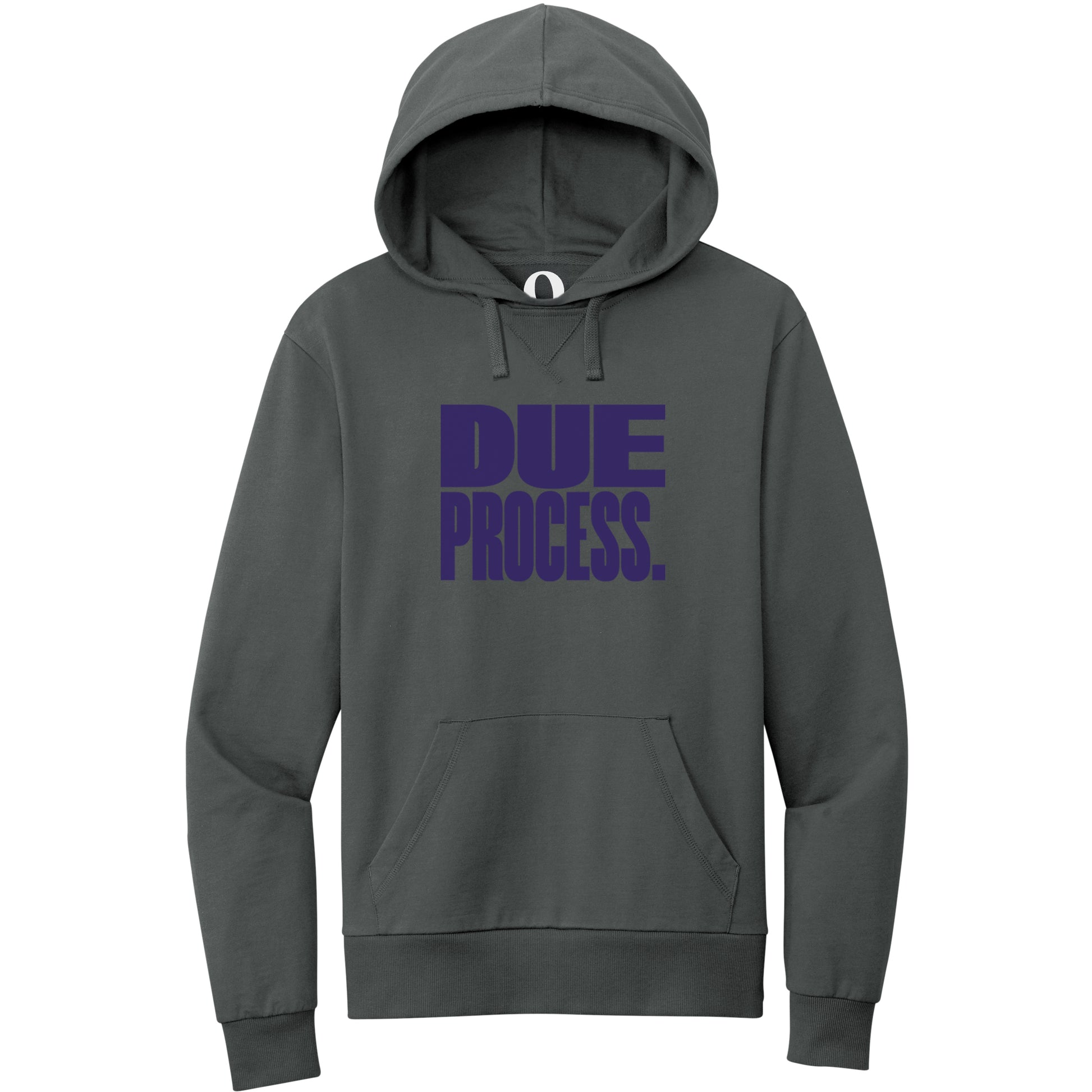 "Due Process." Quorum Pullover Hoodie front print in Terrain Grey