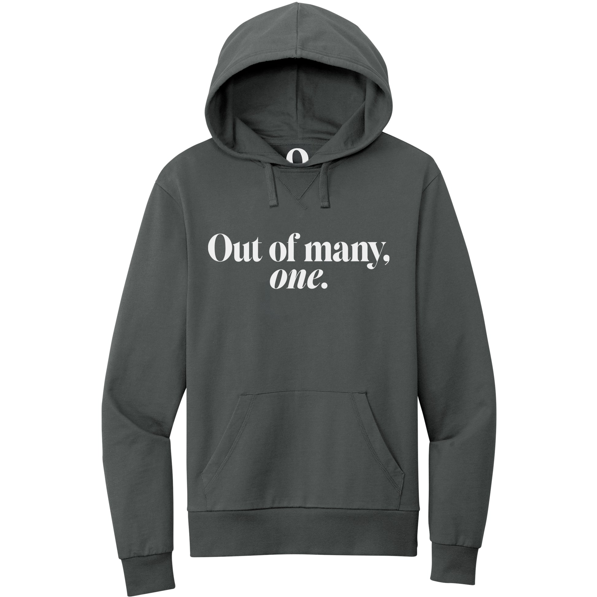"Out of many, one." Quorum Pullover Hoodie editorial print in Terrain Grey