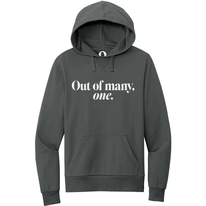 "Out of many, one." Quorum Pullover Hoodie editorial print in Terrain Grey