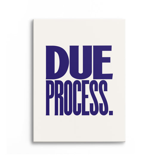 Due Process Canvas Portrait