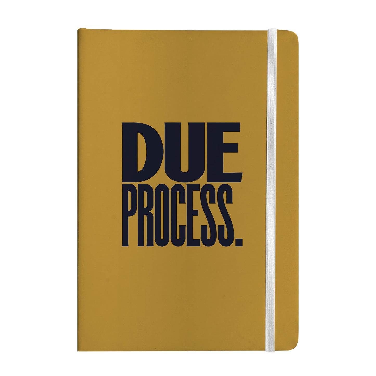Due Process Notebook