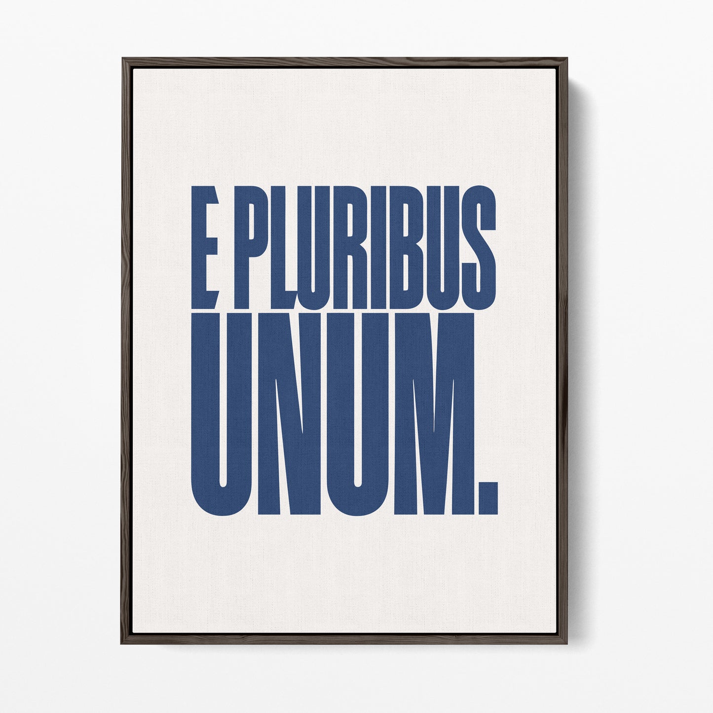 E Pluribus Unum Canvas Portrait