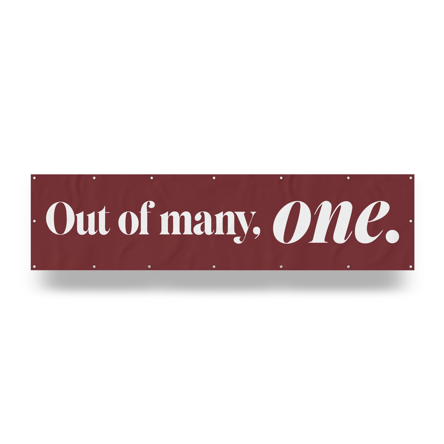 "Out of Many, One." — Quorum vinyl banner