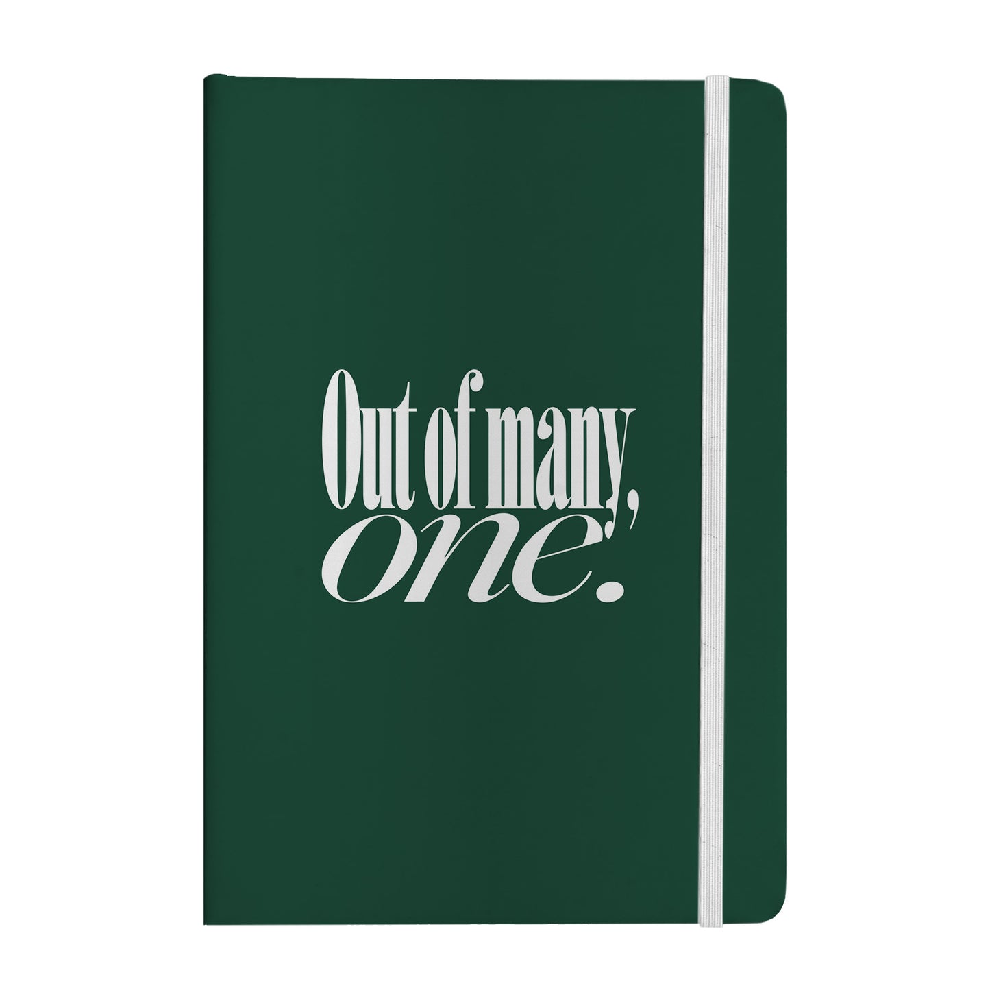 Out of Many, One Notebook