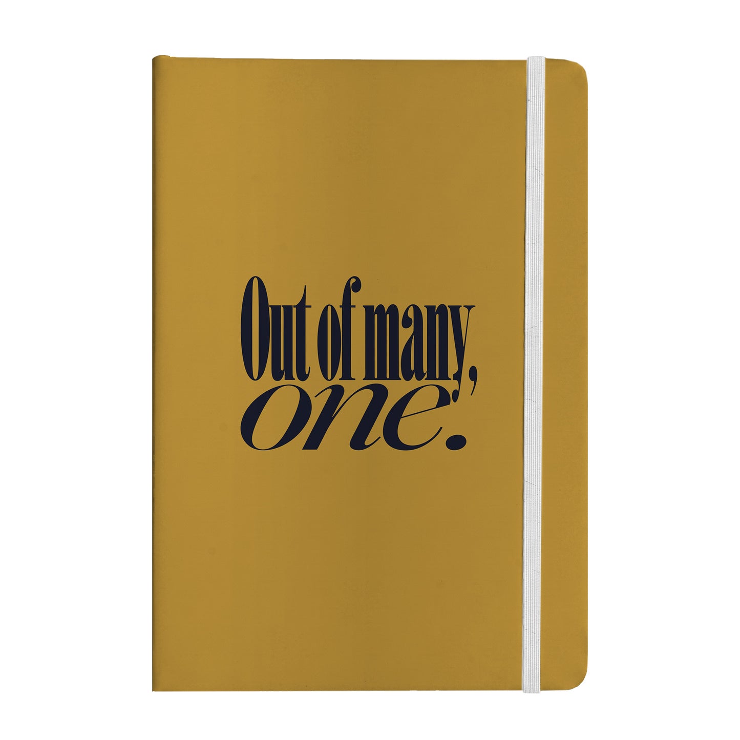 Out of Many, One Notebook