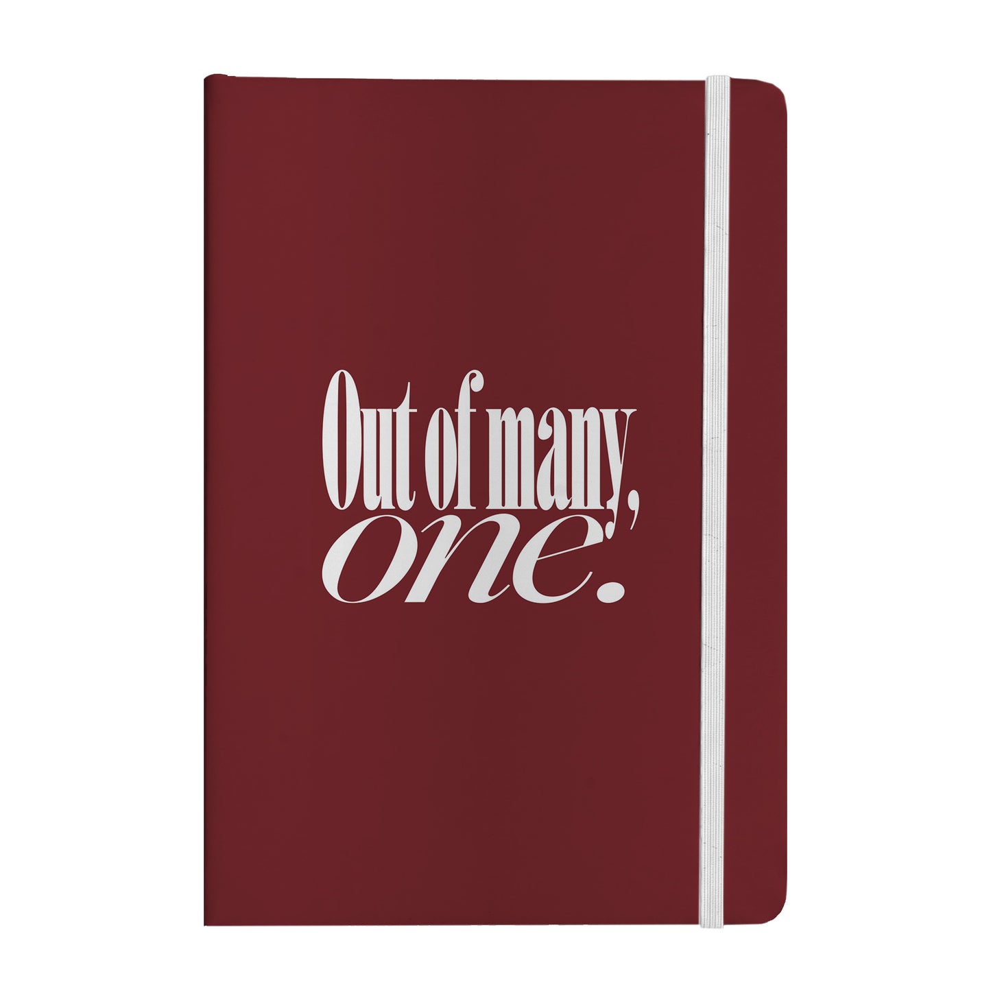 Out of Many, One Notebook
