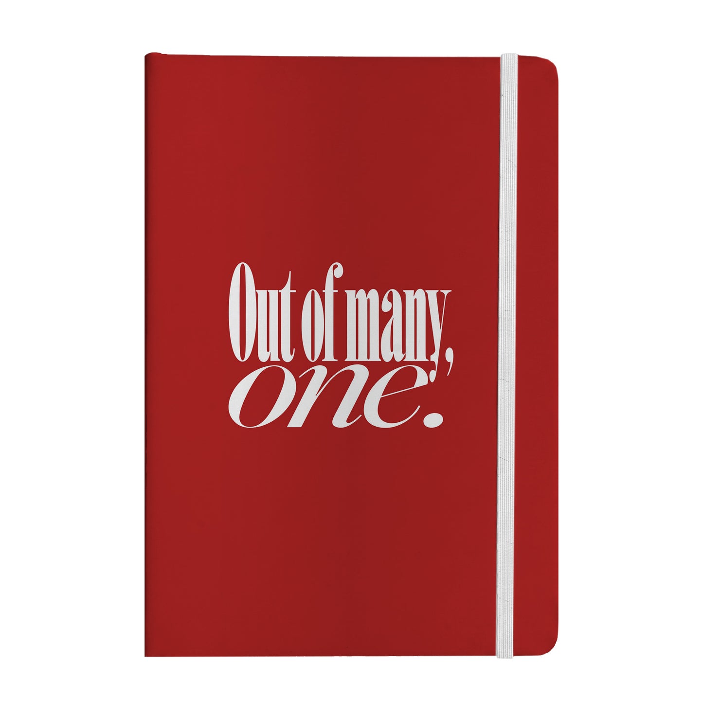 Out of Many, One Notebook
