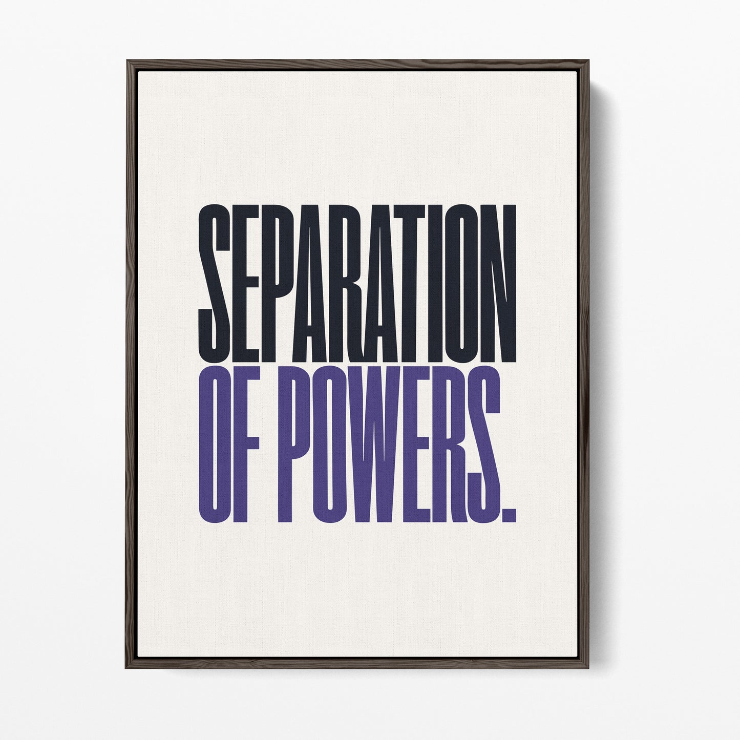 Separation of Powers Canvas Portrait
