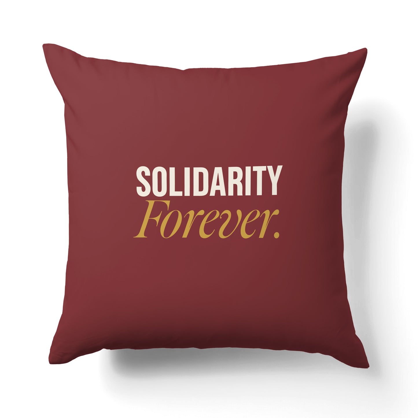 "Solidarity forever." — Quorum Pillow on Union Brick canvas